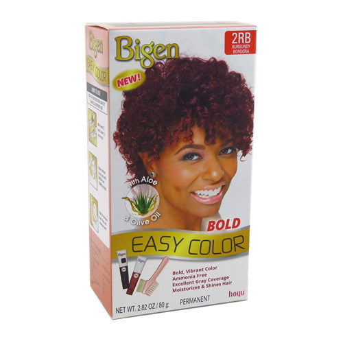 Bigen Permanent Easy Color #2RB Burgundy Kit, 1 Count